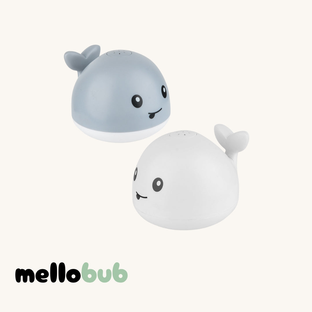 Spout & Splash Whale